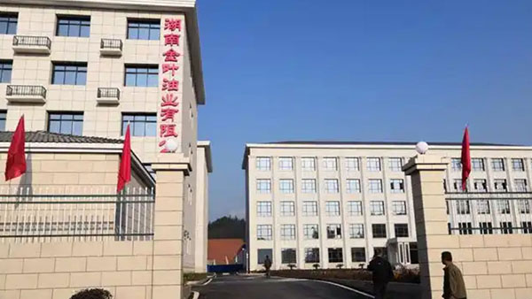 湖南金叶油业有限公司